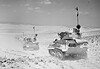 Western Desert Force in Egypte 1940 woestijnstrijd Britse lichte tanks trekken in 1940 door de Egyptische woestijn tijdens de Westelijke Woestijncampagne.